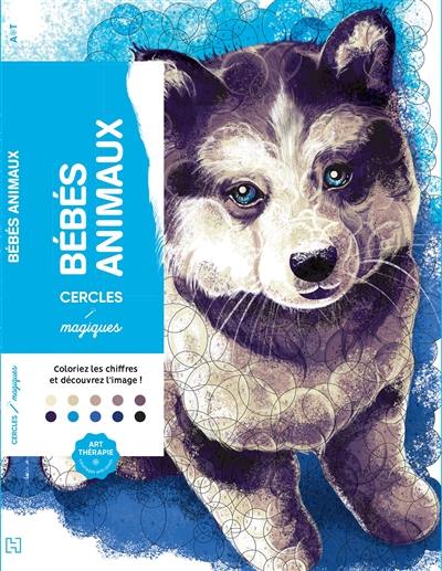 Livre : Bébés animaux : cercles magiques, le livre de Christophe-Alexis  Perez - Hachette Pratique - 9782019454340