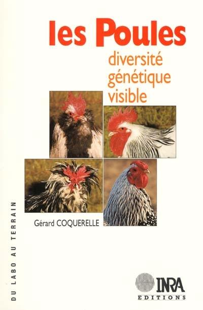 Les poules : diversité génétique visible