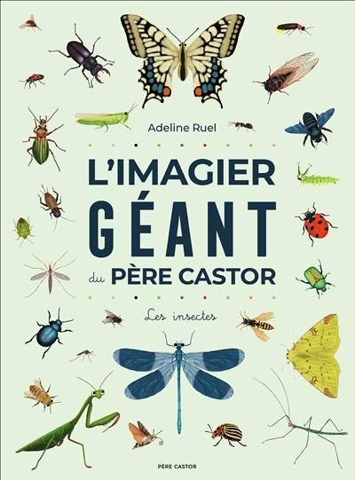 L'imagier géant du Père Castor : les insectes