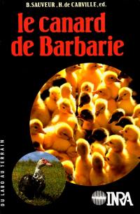 Le canard de Barbarie