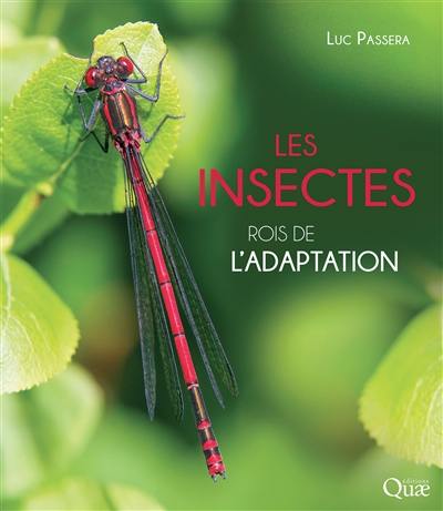 Les insectes : rois de l'adaptation