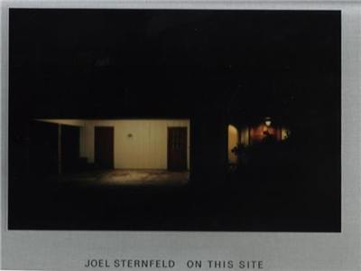 Joel Sternfeld On this Site