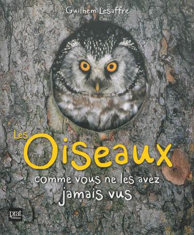 Les oiseaux comme vous ne les avez jamais vus