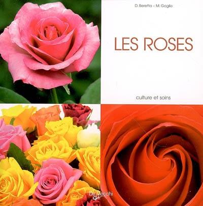 Les roses : culture et soins