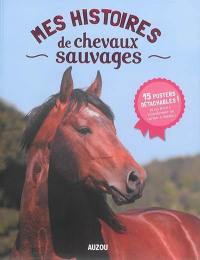 Mes histoires de chevaux sauvages