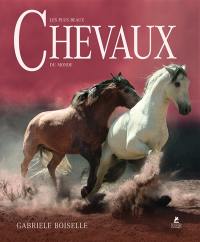 Les plus beaux chevaux du monde