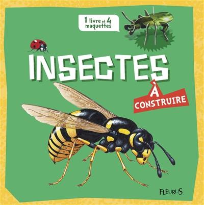 Insectes