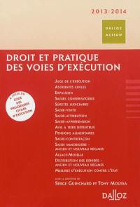 Droit et pratique des voies d'exécution : 2013-2014