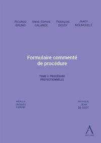 Formulaire commenté de procédure. Vol. 3. Procédure protectionnelle