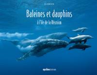 Baleines et dauphins à l'île de la Réunion