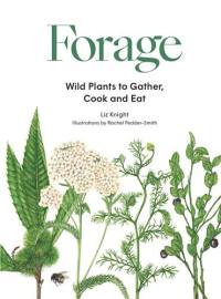 Forage : Wild Plants to Gather, Cook and Eat : Wild plants to gather and eat