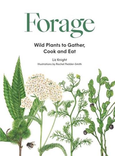 Forage : Wild Plants to Gather, Cook and Eat : Wild plants to gather and eat