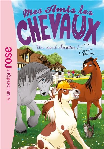 Mes amis les chevaux. Vol. 31. Un sacré chantier !