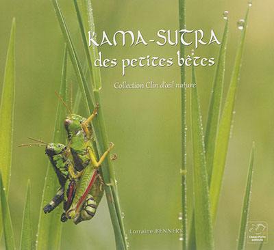 Kama-sutra des petites bêtes