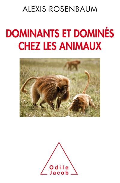 Dominants et dominés chez les animaux : petite sociologie des hiérarchies animales