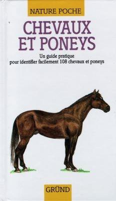 Chevaux et poneys