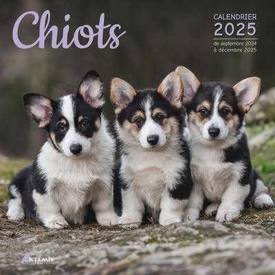 Chiots : calendrier 2025 : de septembre 2024 à décembre 2025