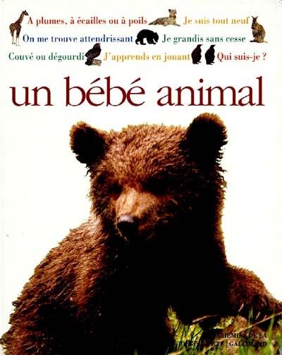 Un Bébé animal