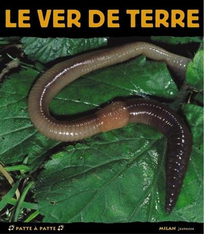 Le ver de terre : ami du jardinier