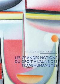 Les grandes notions du droit à l'aune des transhumanismes