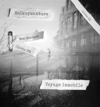 Voyage immobile : haïkupunkture