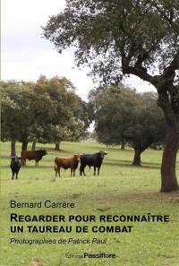 Regarder pour reconnaître le taureau de combat