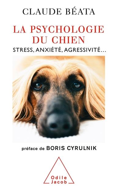 La psychologie du chien : stress, anxiété, agressivité...