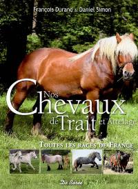 Nos chevaux de trait et attelage : toutes les races de France