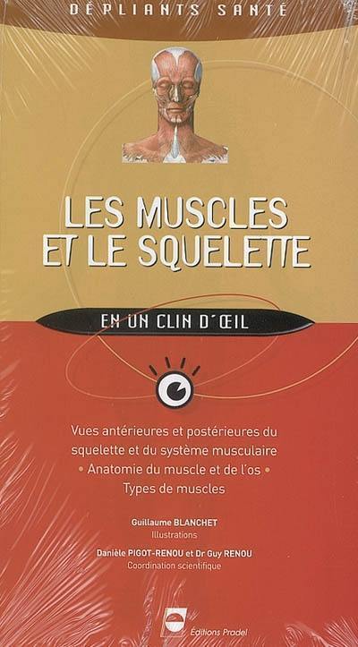 Les muscles et le squelette en un clin d'oeil : vues antérieures et postérieures du squelette et du système musculaire, anatomie du muscle et de l'os, types de muscles