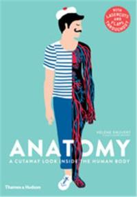 Anatomy : A Cutaway Look Inside the Human Body