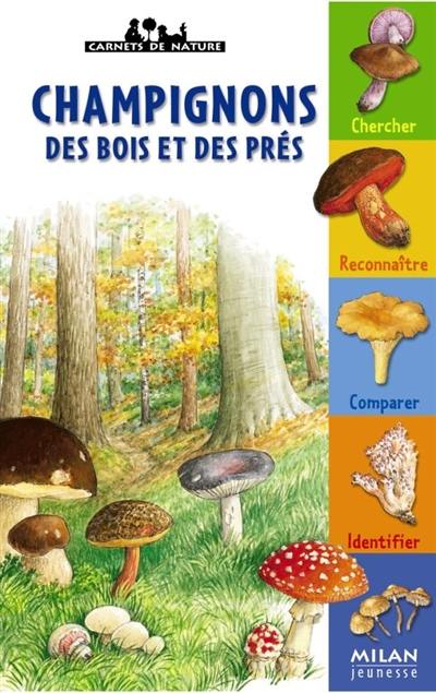 Les champignons des bois et des prés