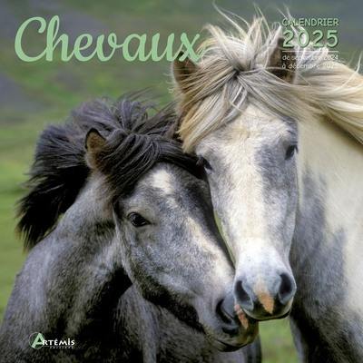 Chevaux : calendrier 2025 : de septembre 2024 à décembre 2025