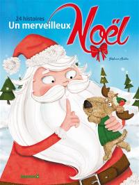 Un merveilleux Noël : 24 histoires