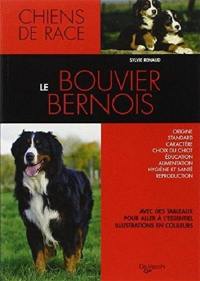 Le bouvier bernois