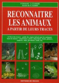 Reconnaître les animaux à partir de leurs traces