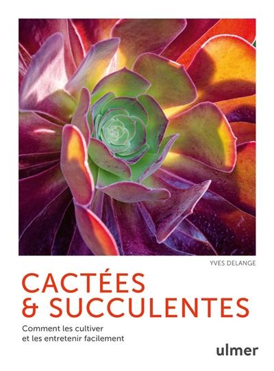 Cactées & succulentes : comment les cultiver et les entretenir facilement