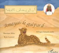 Amayas le guépard