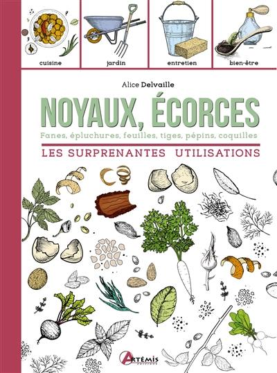 Noyaux, écorces, fanes, épluchures, feuilles, tiges, pépins, coquilles : les surprenantes utilisations