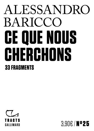 Ce que nous cherchons : 33 fragments