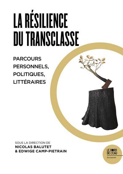 La résilience du transclasse : parcours personnels, politiques, littéraires