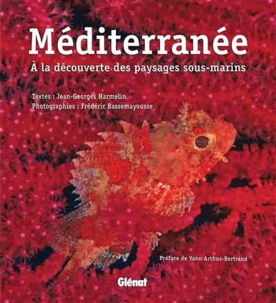 Méditerranée : à la découverte des paysages sous-marins