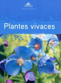 Guide des plantes vivaces