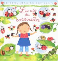 La vie des coccinelles