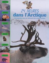 24 heures dans l'Arctique : une journée avec les animaux de la zone arctique