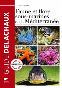 Faune et flore sous-marines de la Méditerranée