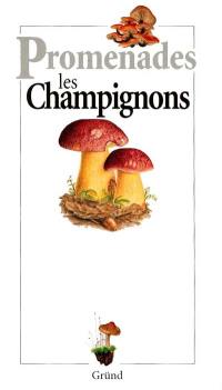 Les champignons