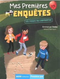 Mes premières enquêtes. Vol. 10. Les pièges du labyrinthe