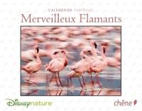 Merveilleux flamants : calendrier perpétuel