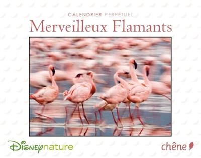 Merveilleux flamants : calendrier perpétuel