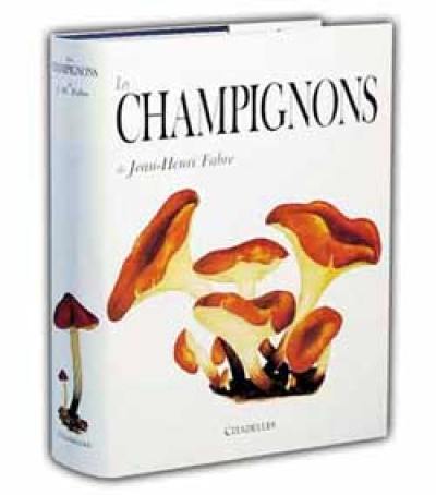 Les Champignons de Fabre